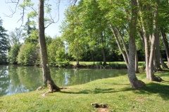 Isabelle-Garnier_0014